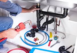 Best Garbage Disposal Repair and Installation  in Dewitt, MI